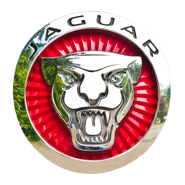 jaguar-2572574_1280
